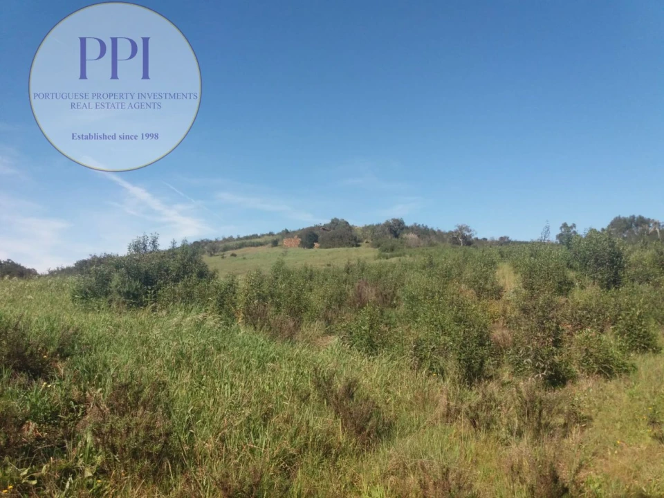 Quinta para Venda em Bensafrim e Barão de São João Foto 14