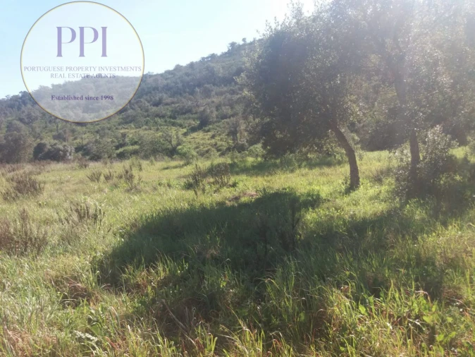 Quinta para Venda em Bensafrim e Barão de São João Foto 4