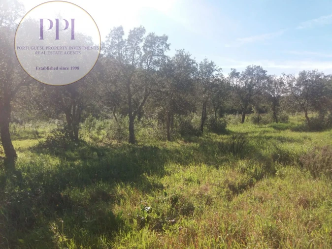 Quinta para Venda em Bensafrim e Barão de São João Foto 10