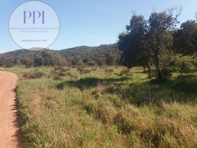 Quinta para Venda em Bensafrim e Barão de São João Foto 9