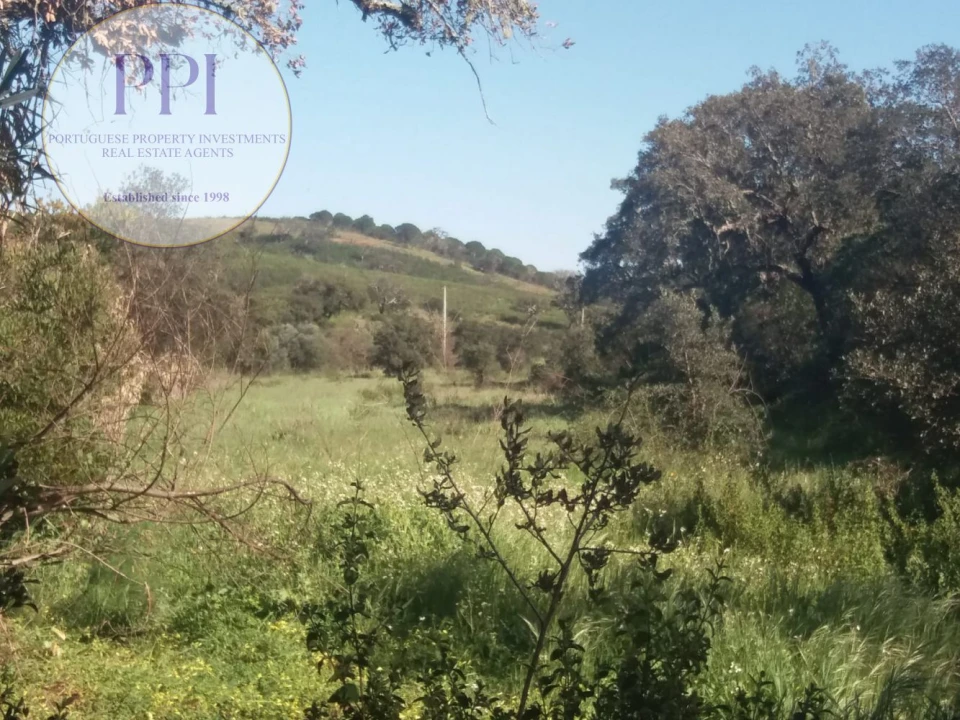Quinta para Venda em Bensafrim e Barão de São João Foto 20