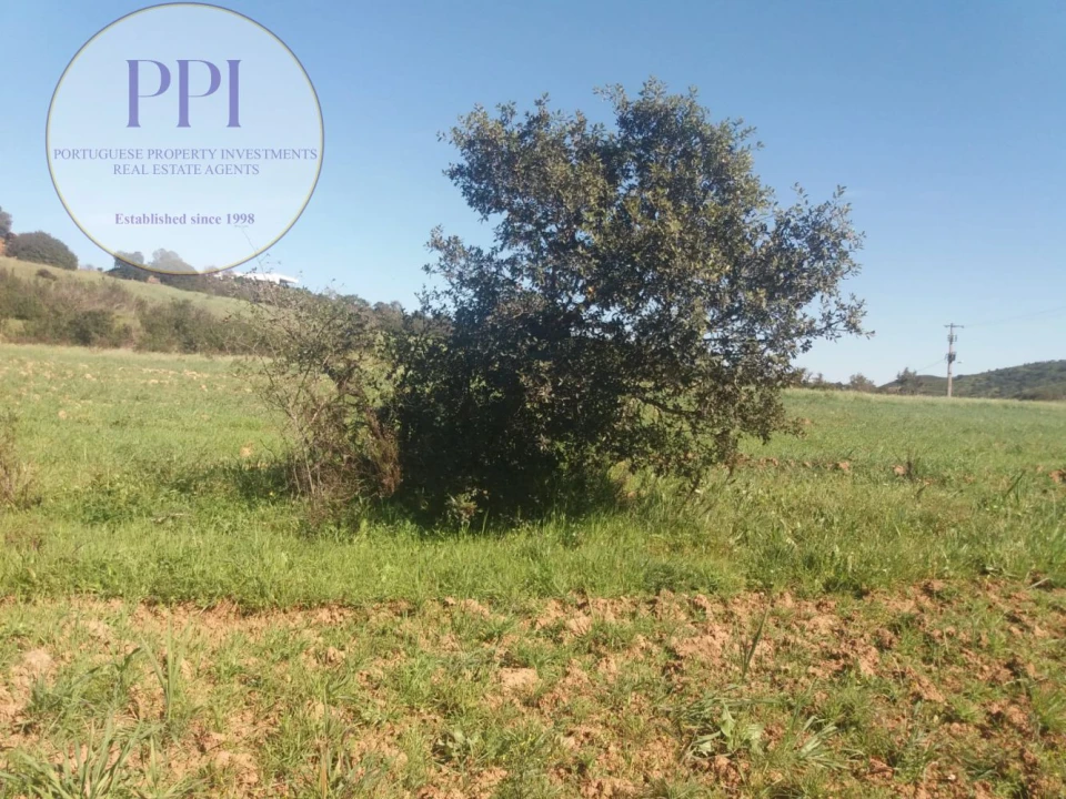 Quinta para Venda em Bensafrim e Barão de São João Foto 23