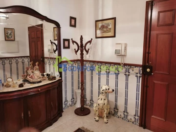 Apartamento T1 para Arrendamento em Castelo Branco