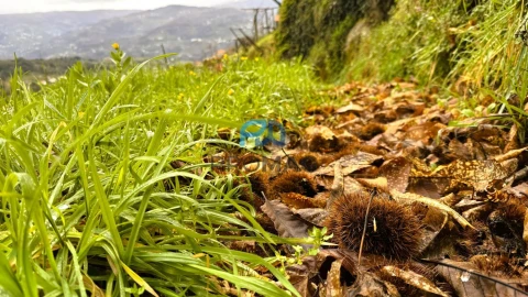 Moradia T3 para Venda em Santa Marinha do Zezere