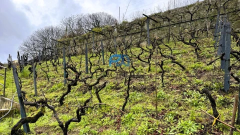 Moradia T3 para Venda em Santa Marinha do Zezere