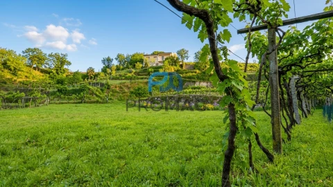 Moradia T3 para Venda em Santa Marinha do Zezere