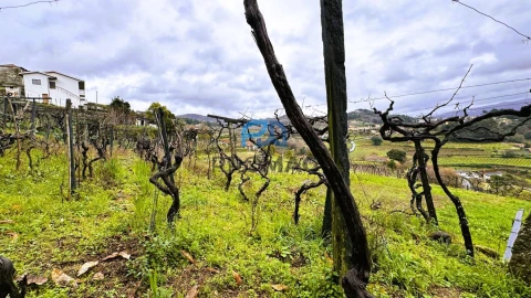 Moradia T3 para Venda em Santa Marinha do Zezere
