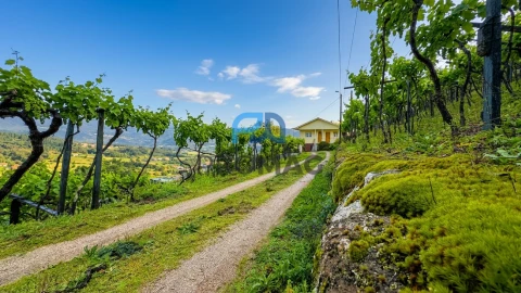 Moradia T3 para Venda em Santa Marinha do Zezere