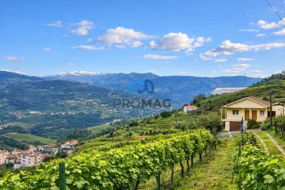 Moradia T3 para Venda em Santa Marinha do Zezere