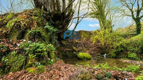 Moradia T3 para Venda em Santa Marinha do Zezere