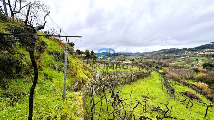 Moradia T3 para Venda em Santa Marinha do Zezere Foto 45