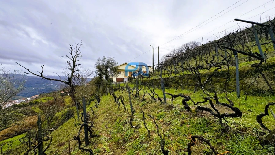 Moradia T3 para Venda em Santa Marinha do Zezere Foto 42