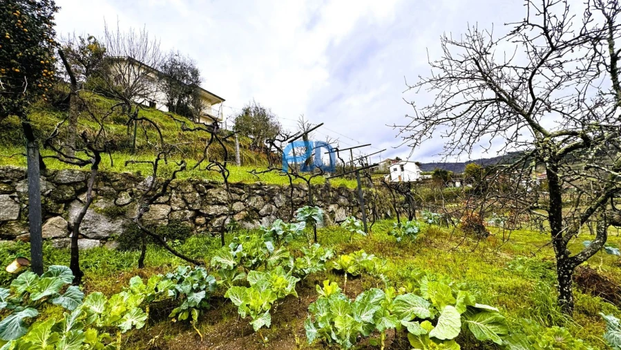 Moradia T3 para Venda em Santa Marinha do Zezere Foto 44