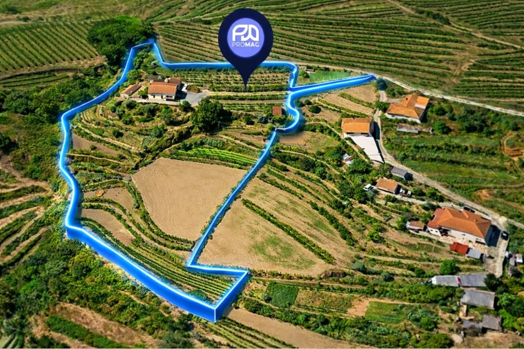 Moradia T3 para Venda em Santa Marinha do Zezere Planta 7