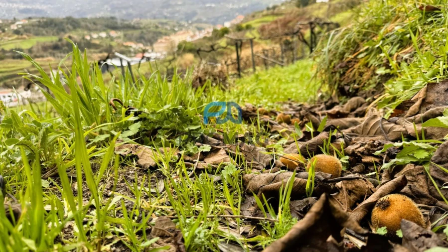 Moradia T3 para Venda em Santa Marinha do Zezere Foto 53