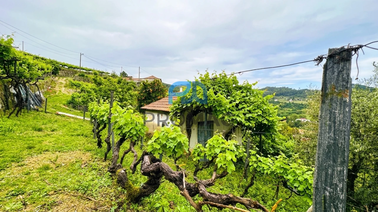 Moradia T3 para Venda em Santa Marinha do Zezere Foto 4