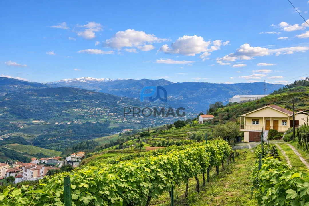 Moradia T3 para Venda em Santa Marinha do Zezere Foto 1