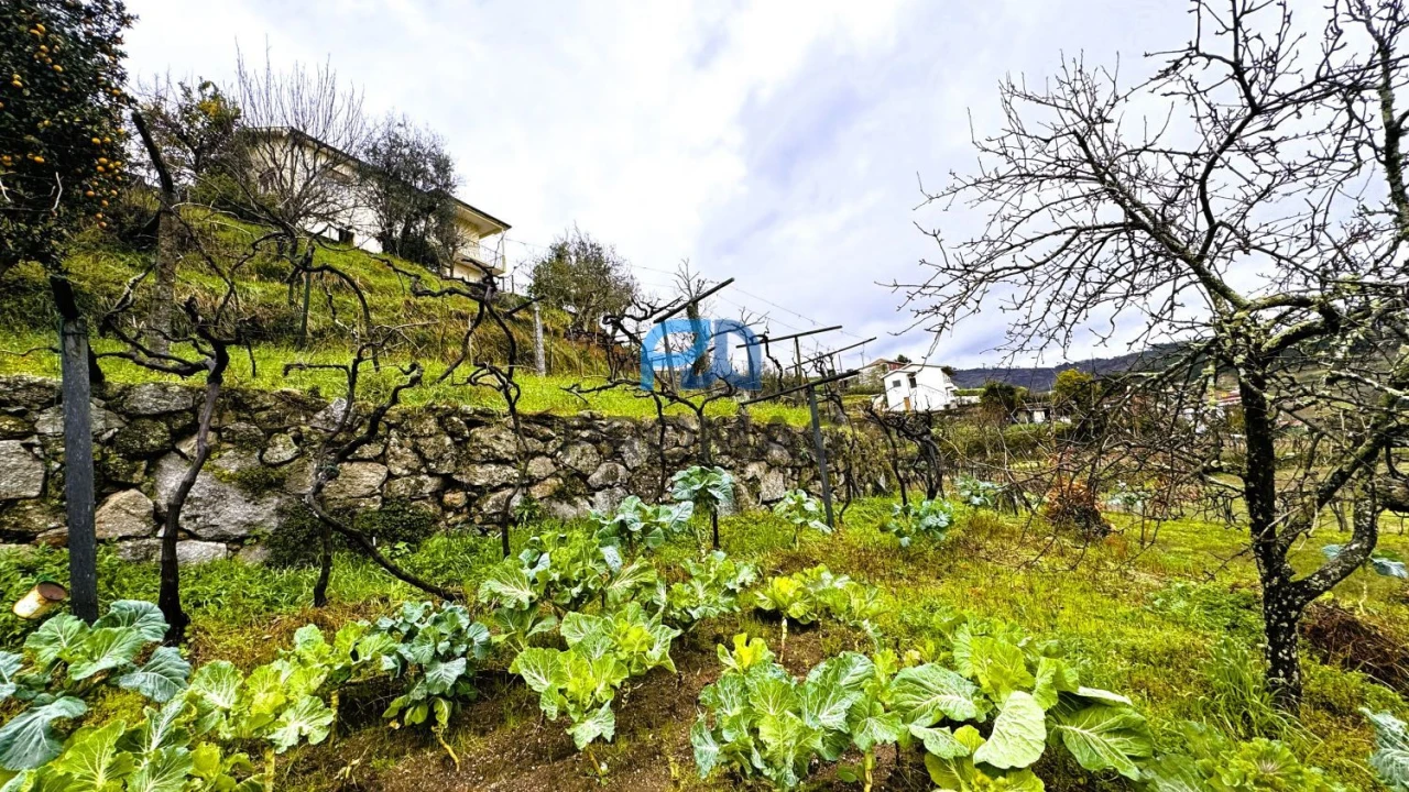 Moradia T3 para Venda em Santa Marinha do Zezere Foto 44
