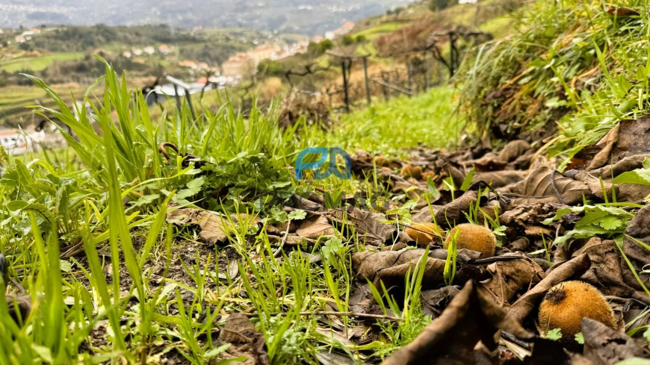 Moradia T3 para Venda em Santa Marinha do Zezere Foto 53