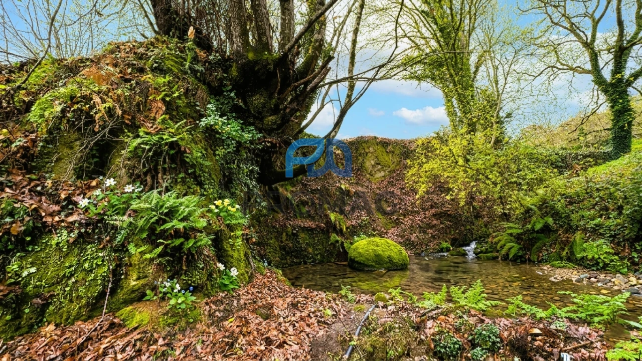 Moradia T3 para Venda em Santa Marinha do Zezere Foto 39