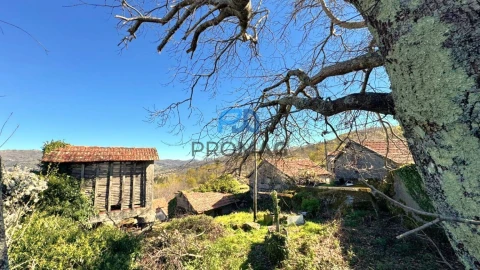 Moradia T3 para Venda em Campelo e Ovil