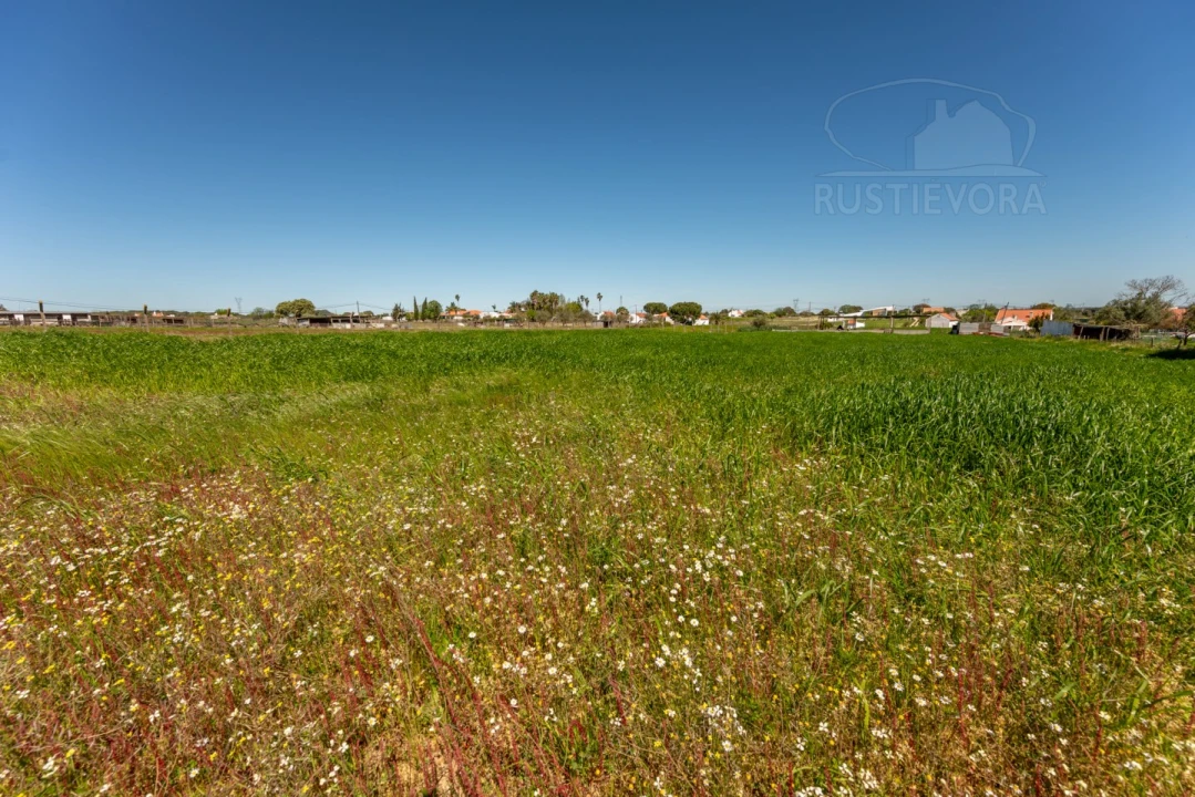 Quinta T4 para Venda em Nossa Senhora da Vila, Nossa Senhora do Bispo e Silveiras Foto 12