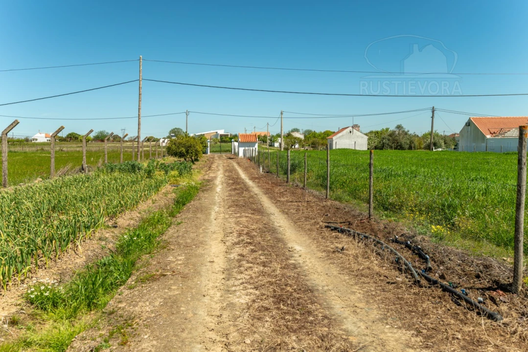 Quinta T4 para Venda em Nossa Senhora da Vila, Nossa Senhora do Bispo e Silveiras Foto 38