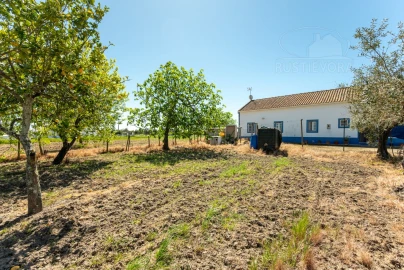 Quinta T4 para Venda em Nossa Senhora da Vila, Nossa Senhora do Bispo e Silveiras