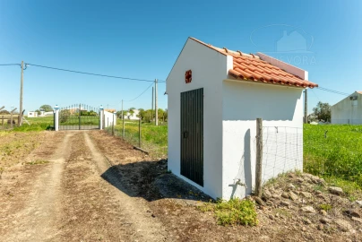 Quinta T4 para Venda em Nossa Senhora da Vila, Nossa Senhora do Bispo e Silveiras