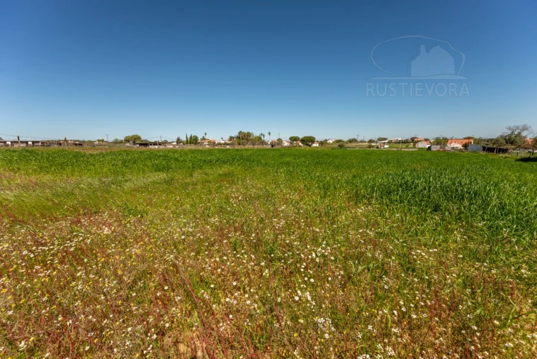 Quinta T4 para Venda em Nossa Senhora da Vila, Nossa Senhora do Bispo e Silveiras Foto 12