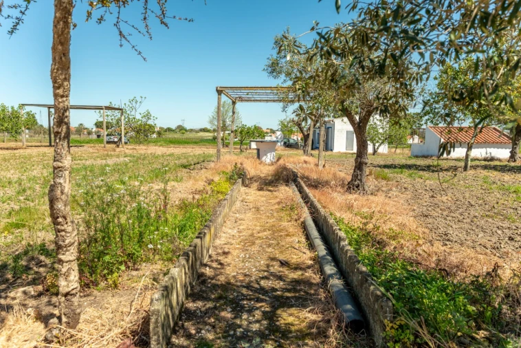 Quinta T4 para Venda em Nossa Senhora da Vila, Nossa Senhora do Bispo e Silveiras Foto 25