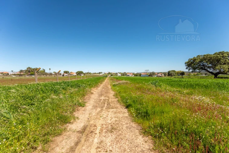 Quinta T4 para Venda em Nossa Senhora da Vila, Nossa Senhora do Bispo e Silveiras Foto 34