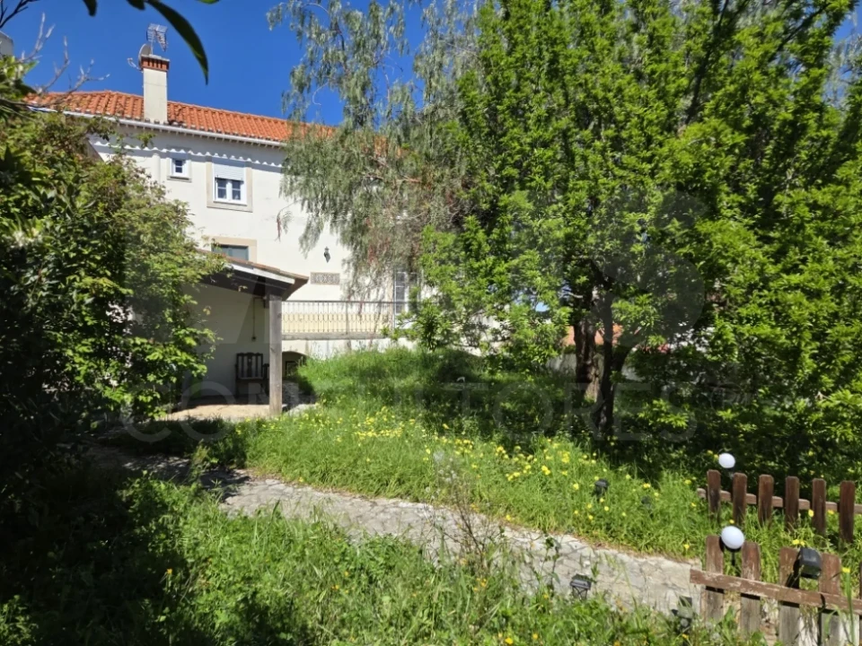 Prédio para Venda em Torres Novas (Santa Maria, Salvador e Santiago) Foto 2