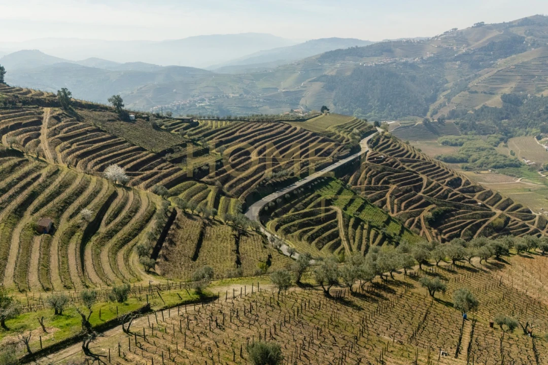 Quinta T4 para Venda em Cumieira Foto 5