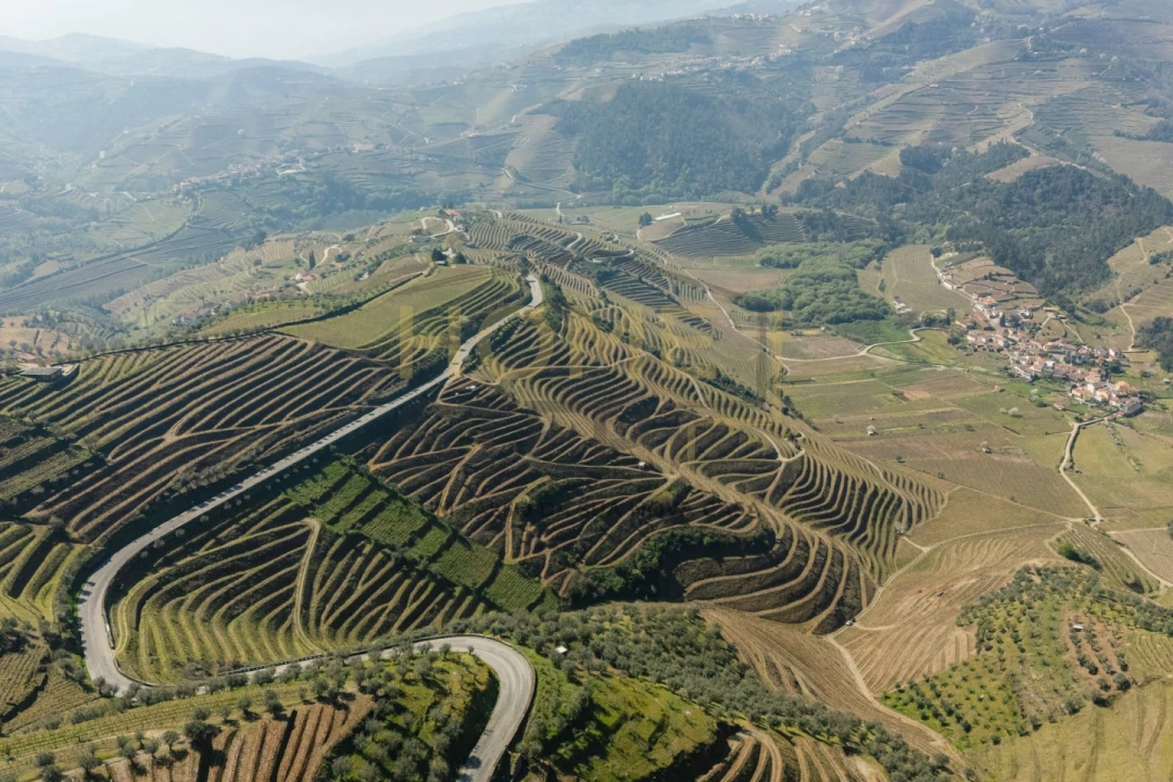 Quinta T4 para Venda em Cumieira Foto 81