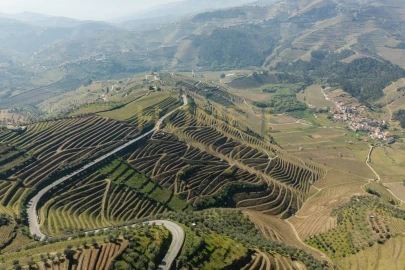 Quinta T4 para Venda em Cumieira