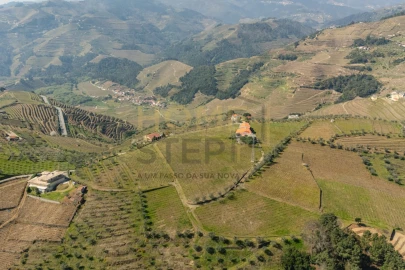 Quinta T4 para Venda em Cumieira