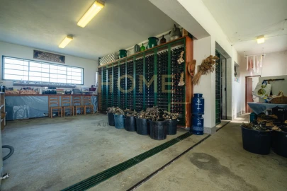 Quinta T4 para Venda em Cumieira