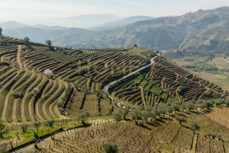 Quinta T4 para Venda em Cumieira Foto 5