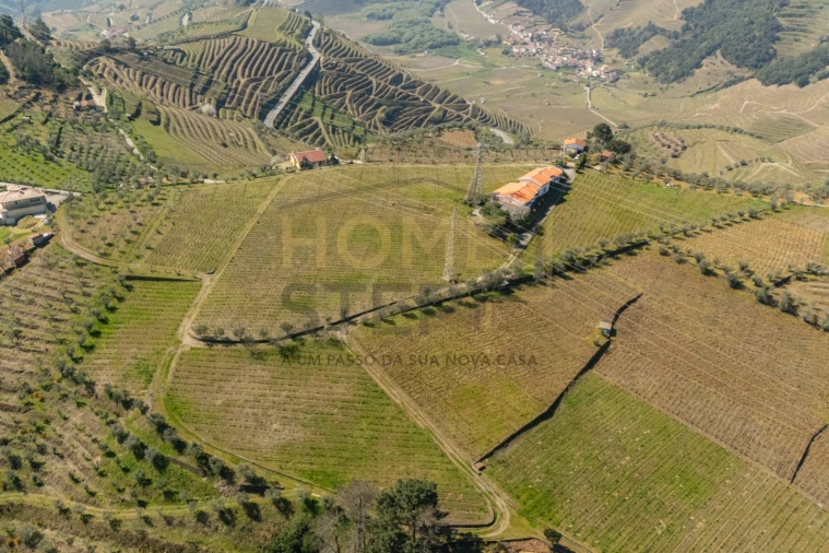 Quinta T4 para Venda em Cumieira Foto 79