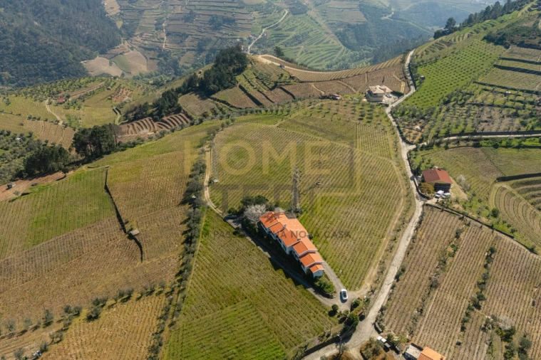 Quinta T4 para Venda em Cumieira Foto 80