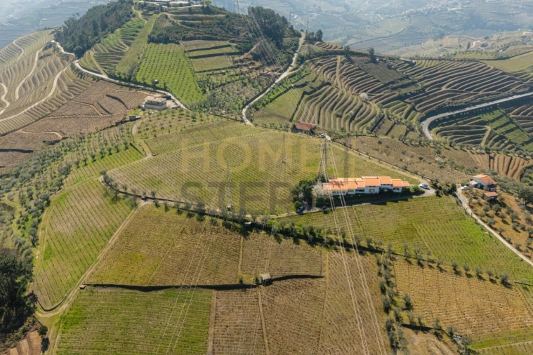 Quinta T4 para Venda em Cumieira Foto 84