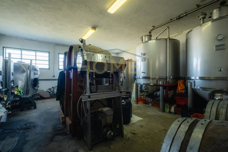 Quinta T4 para Venda em Cumieira Foto 86