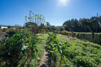 Moradia T3 para Venda em Ovar, São João, Arada e São Vicente de Pereira Jusã