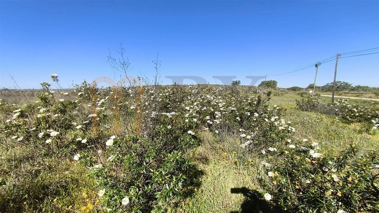 Terreno Agricola ou Rústico para Venda em Azinhal Foto 4