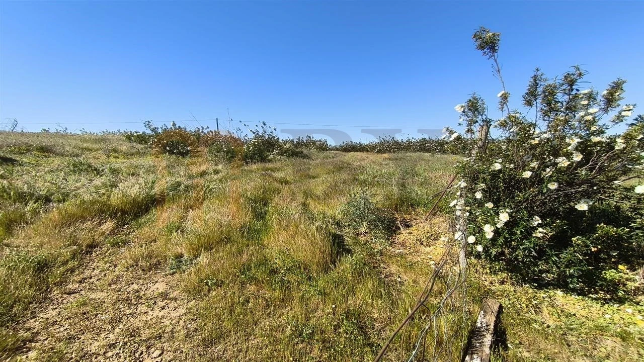 Terreno Agricola ou Rústico para Venda em Azinhal Foto 9