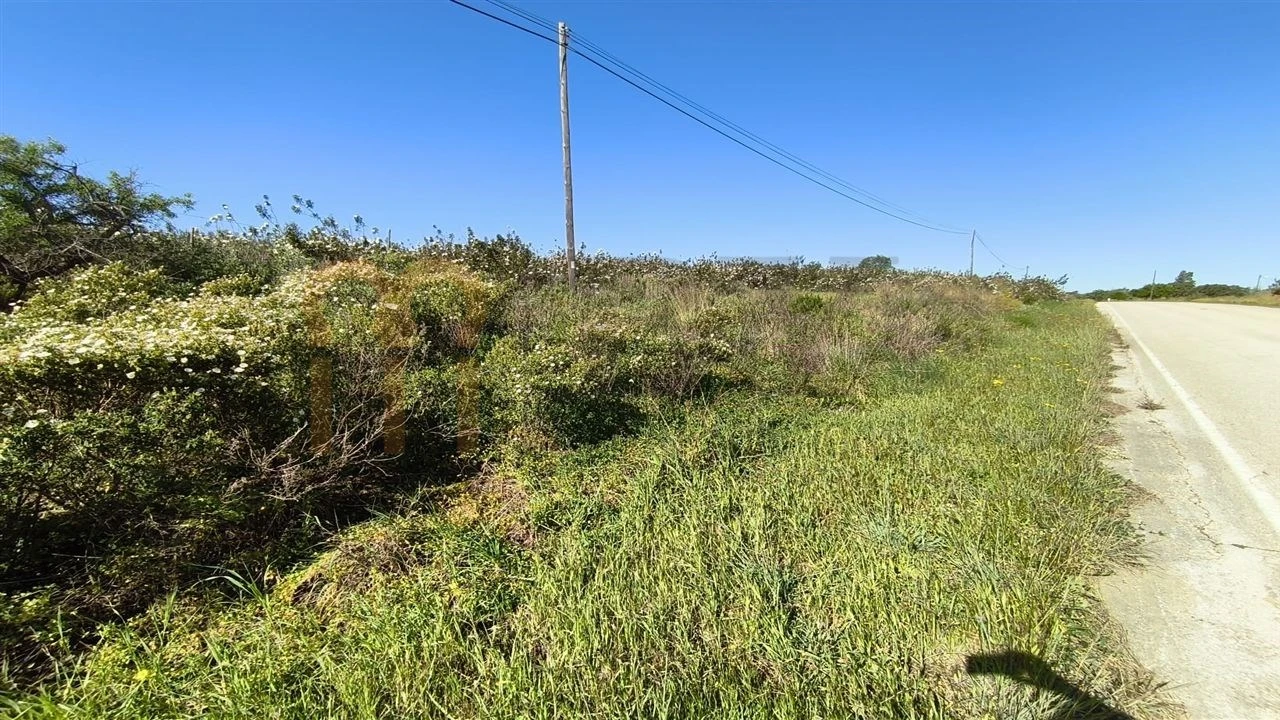 Terreno Agricola ou Rústico para Venda em Azinhal Foto 12