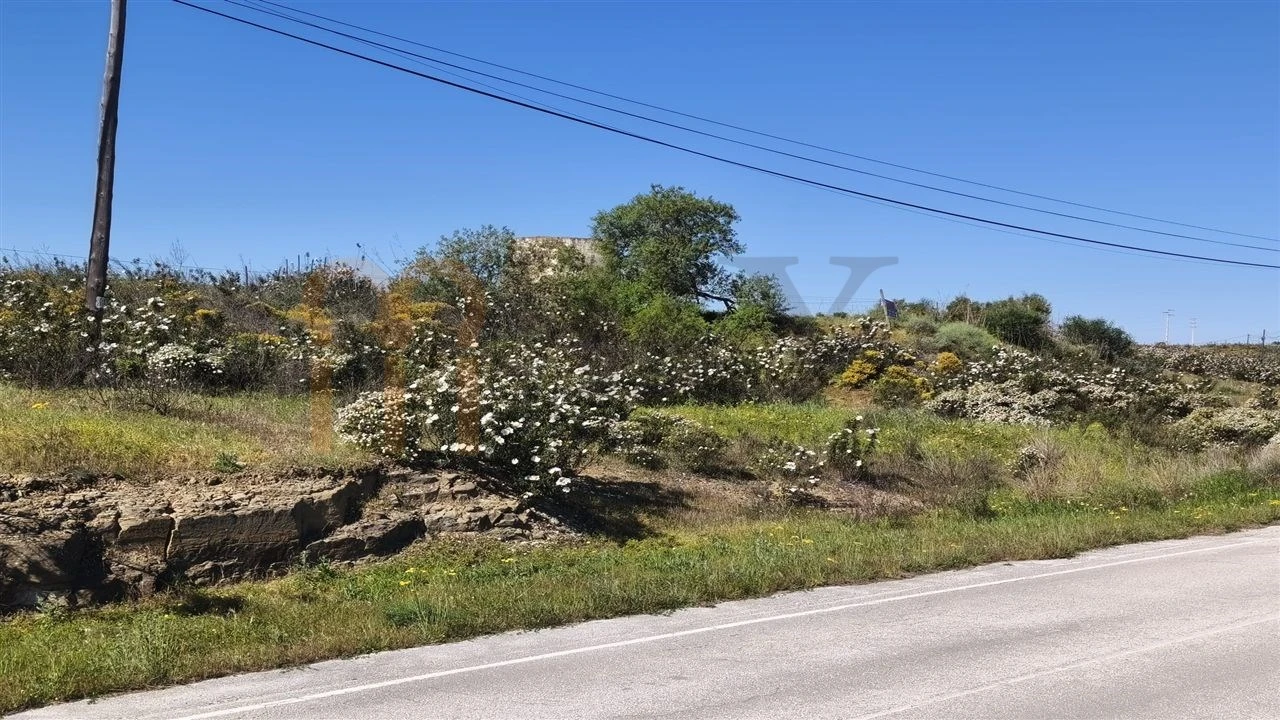 Terreno Agricola ou Rústico para Venda em Azinhal Foto 13