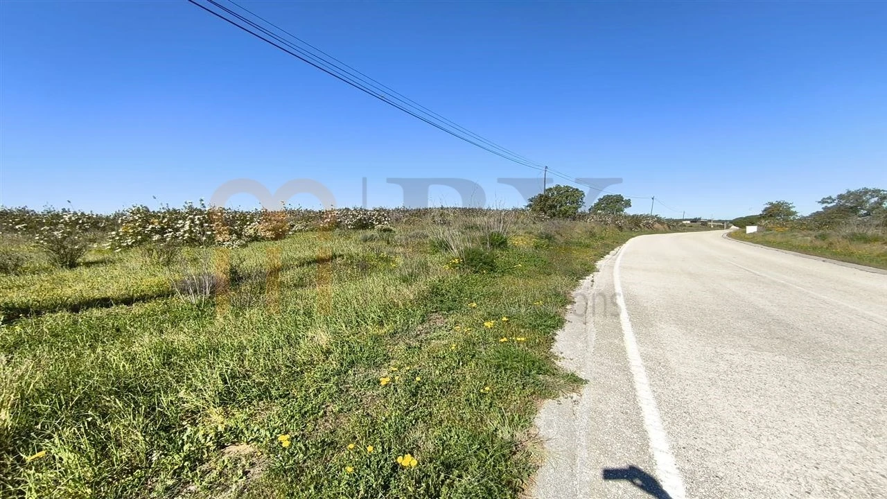 Terreno Agricola ou Rústico para Venda em Azinhal Foto 14
