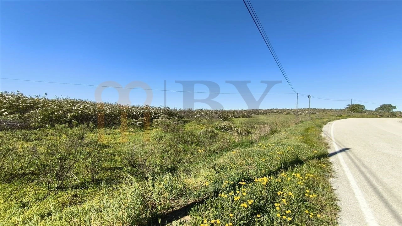 Terreno Agricola ou Rústico para Venda em Azinhal Foto 15